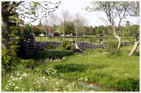 Lillrone kvarn, milj och natur