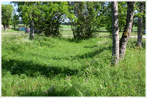 Gotland, Kämpgrav i Ardre - foto: Bernt Enderborg