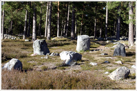 Gotland, Vendeltida solur - foto: Bernt Enderborg