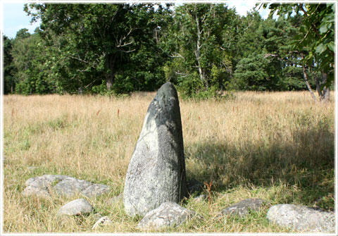 Gotland, Bautastenar - foto: Bernt Enderborg