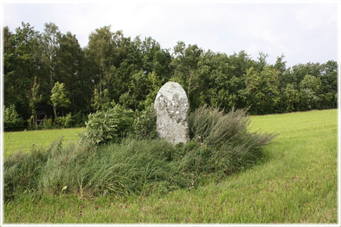 Gotland, En bildsten i Väskinde - foto: Bernt Enderborg