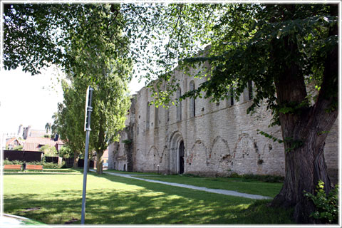 Gotland, Vad sa Petrus de Dacia 1288 - foto: Bernt Enderborg