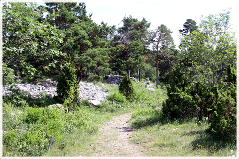 Gotland, Gammelslott, fornborg - foto: Bernt Enderborg