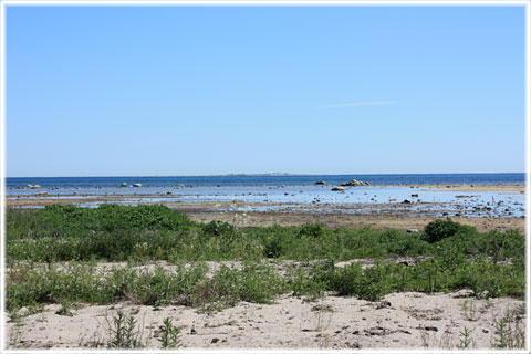 Strand i Alskog