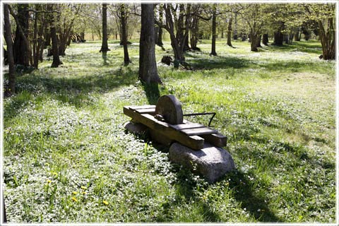 Gotland, Hummelbos änge - foto: Bernt Enderborg