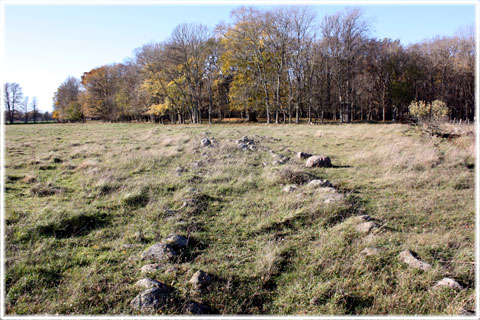 Gotland, Gutnaltinget  - marknadsplats, varv - foto: Bernt Enderborg