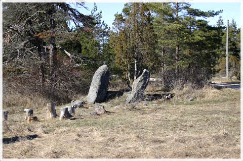 Gotland, Bro ojkar - foto: Bernt Enderborg