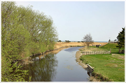 Gotland, Ormkvinnans barn 2006 - foto: Bernt Enderborg