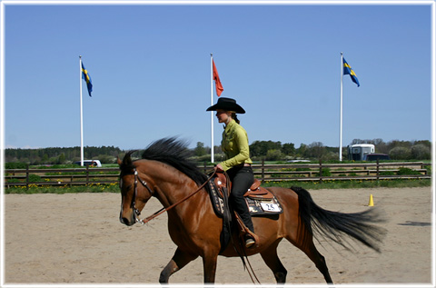 Western Riders Gotland