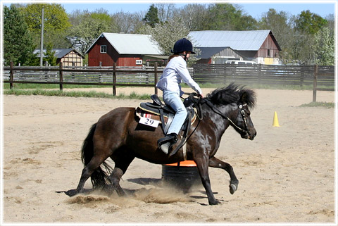 Western Riders Gotland, arena i Vnge