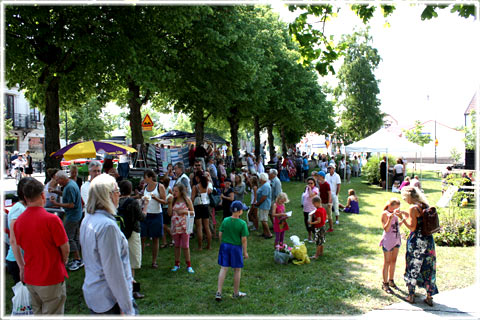 Gotland, Hemsedagen - foto: Bernt Enderborg