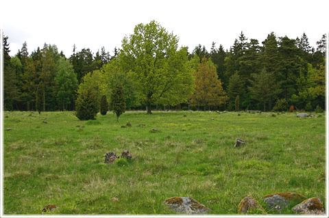 Gotland, Folegrana, fornborgen vid Fole granar - foto: Bernt Enderborg