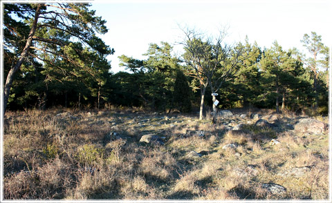 Gotland, Stensättningar, bronsålder - foto: Bernt Enderborg
