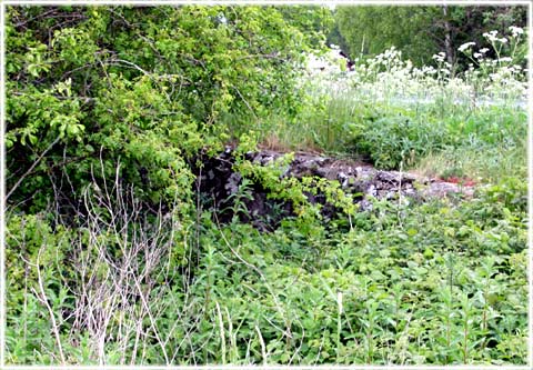 Gotland, Varför byggde vikingar broar - foto: Bernt Enderborg