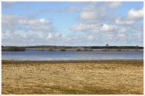 Gotland, Vatten är ett problem - foto: Bernt Enderborg