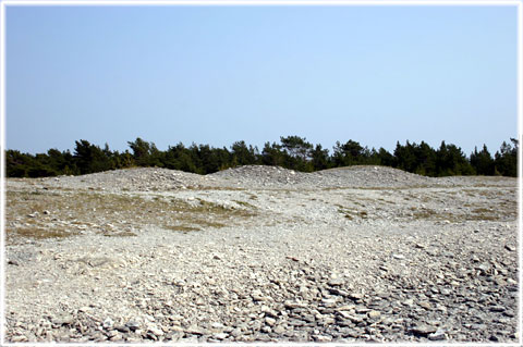 Gotland, Gamle hamn, gravfältet - foto: Bernt Enderborg