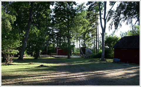 Gotland, Sandaparken - foto: Bernt Enderborg