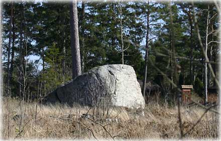 Gotland, Flyttblock - foto: Bernt Enderborg