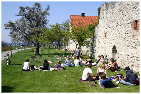 Ungdomar i Almedalen