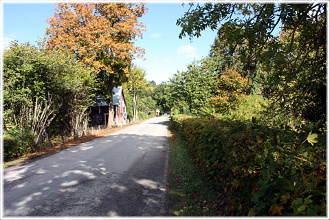 Gotland, Bjärges Solljus - foto: Bernt Enderborg