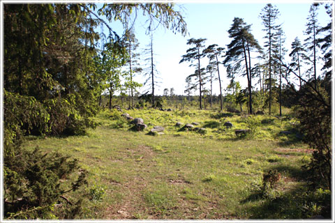 Gotland, Gaitkörku - kyrkoruin... - foto: Bernt Enderborg