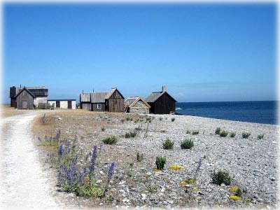 Gotland, Vandra vid Fårökusten - foto: 0