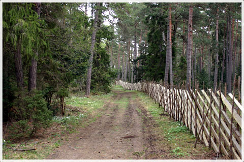 Gotland, Vad kallas hela jorden på gutniska - foto: Bernt Enderborg