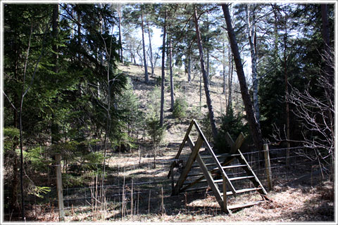 Gotland, Bendesborg - foto: Bernt Enderborg