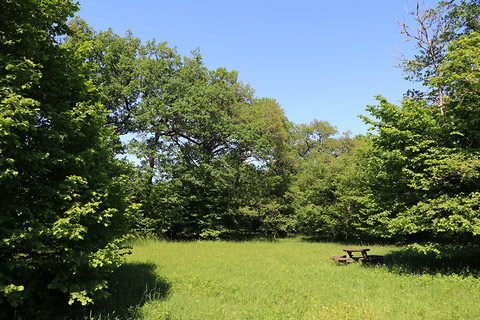 Gotland, Kulturlandskapet äldre järnålder - foto: Bernt Enderborg