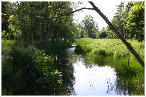 Vandringsleden i Dalhem