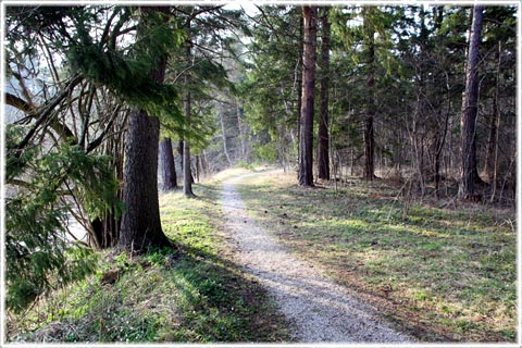 Vandringsleden i Dalhem