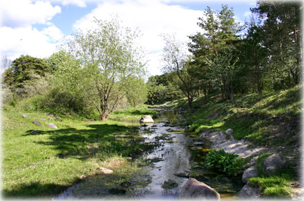 Gotland, Sma broar - foto: Bernt Enderborg