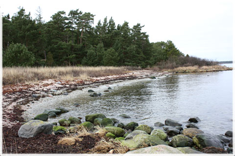 Gotland, Thielward landsteg på Tjäldersholm - foto: Bernt Enderborg