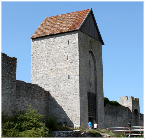 Gotland, Sidledes skytte - foto: Bernt Enderborg