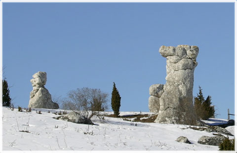 Gotland, Vinterraukar - foto: Bernt Enderborg