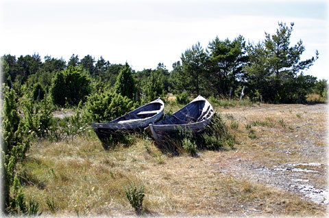 Gotland, Hand i hand - foto: Bernt Enderborg