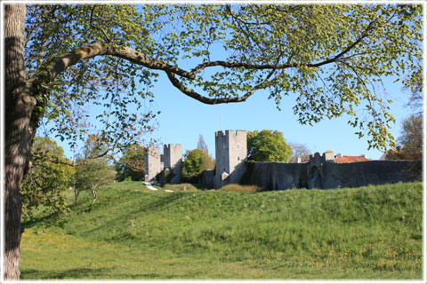 Gotland, Sånt här är tråkigt att läsa - foto: Bernt Enderborg