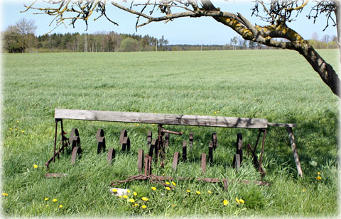 Gotland, Gotland och sveariket - foto: Bernt Enderborg