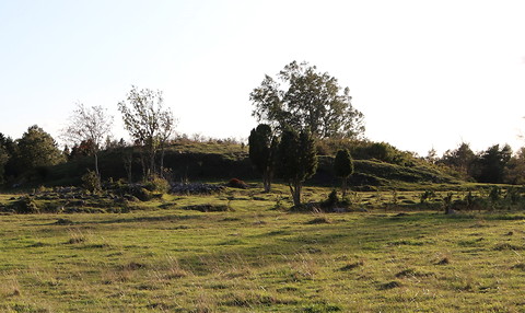 Gotland, Bjärs hög, Bjärs backe - foto: Bernt Enderborg