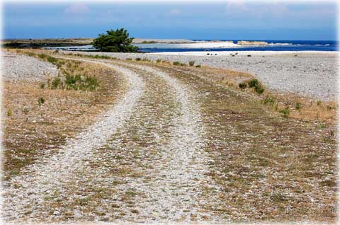 Gotland, En vandring runt Fårö och Bästeträsk - foto: 0