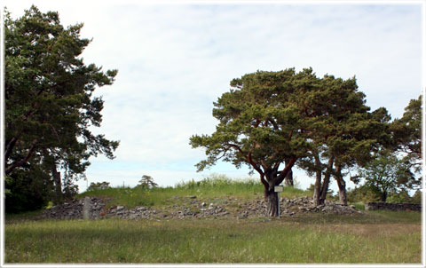 Gotland, Bronsåldersröse vid Hau - foto: Bernt Enderborg