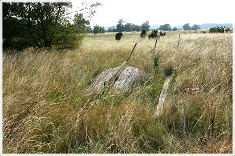 Fluntings fiskelge