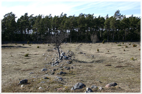 Vallhagar fornldersby