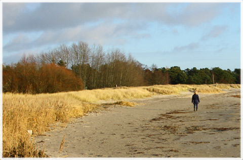 Hrte strand