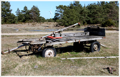 Gotland, Tidens tänder - foto: Bernt Enderborg