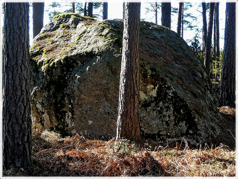 Silverstenen i Lojsta, foto Gte Ohlsson