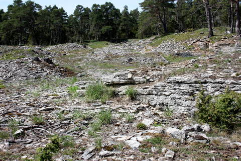 Stenbrott p hllmarkerna i Alskog