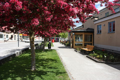 Gotland, Hemse bibliotek - foto: Bernt Enderborg