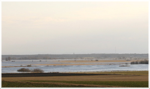 Gotland, Fågelsjön och Birka, Lina myr - foto: Bernt Enderborg