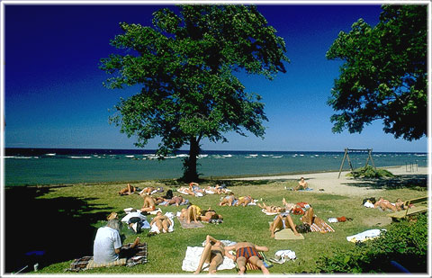 Gotland, Norderstrand - foto: Björn Pettersson